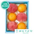お中元 御中元 千疋屋...