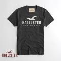 ホリスター HOLLISTER...