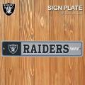 【RAIDERS ロングサイ...