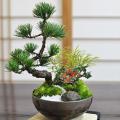モダン松竹梅 5号 お...