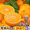 みかんタイムセール・...