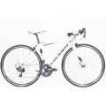 COLNAGO 「コルナゴ」...