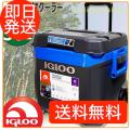 IGLOO マックスコール...