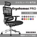 エルゴヒューマン プ...