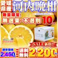 河内 晩柑 自宅用 1 0...