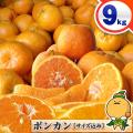 ポンカン 1 0kg 自宅...