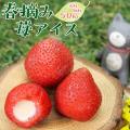 送料無料 お中元 スイ...