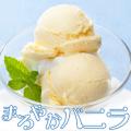 業務用 アイス 明治 ...