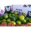 みかん 訳あり 熊本...