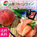 お中元 桃 山梨県産 ...