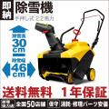 (8月限定価格)(1年...