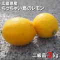 広島県産 レモン 3...