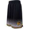 BN604 UNK NBA Golden...