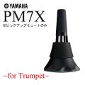 YAMAHA / SILENT BRAS...