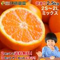 みかん 訳あり 2kg 自...
