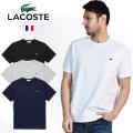 LACOSTE/ラコステ ベ...