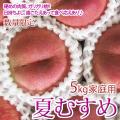 訳あり-夏むすめ かた...