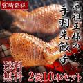 手羽先餃子 送料無料 ...
