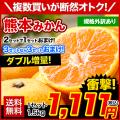 熊本 みかん 訳あり 1...