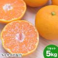 3代目みかん職人 中村...