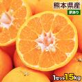 甘熟ポンカン 1セット...