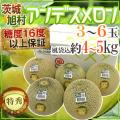 【送料無料】JA茨城旭...