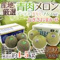 【送料無料】”青肉メ...