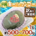 沖縄産 ”キーツマン...