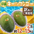 【送料無料】沖縄産 ...