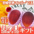 母の日ギフト ”宮崎...