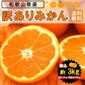 みかん 3kg 和歌山県...
