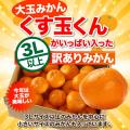 大玉 みかん 10kg く...