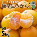 みかん 訳あり 5kg ...