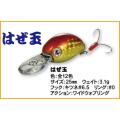 バスデイ はぜ玉 25...