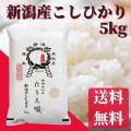 令和5年　こしひかり 　新潟産コシヒカリ 5kg　送料無料　コシヒカリ　米/コメ/こめ　ギフト/プレ...