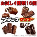 訳アリ ブラックサン...