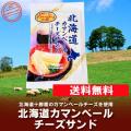 「おつまみ チーズ 珍...