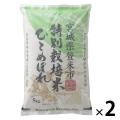 宮城県登米産ひとめぼれ 10kg(5kg×2袋) 【精白米】 【特別栽培米】 米 お米 令和5年産