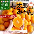 静岡県産 JAなんすん ...
