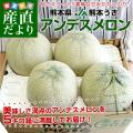 送料無料 熊本県産 ...