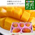 送料無料 沖縄県より...
