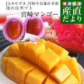 母の日ギフト 送料無...