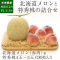 送料無料 北海道メロ...