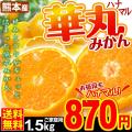みかん 熊本産 華丸み...
