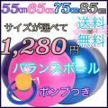 バランスボール 55cm ...