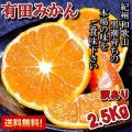 有田みかん 訳あり 2....