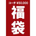 コーチ5万円 レディース福袋 （バッグ・財布・小物・キーホルダー入り）