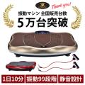 スリミング 振動ステ...