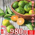 (f極 04) ★予約販売...