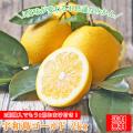 (fゴ 1.5)宇和島ゴー...